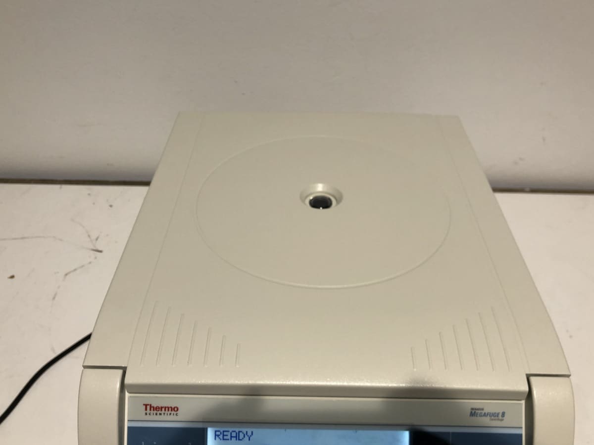 Centrifugeuse de laboratoire avec rotors angulaires flexibles reconditionné - thermofisher megafuge 8 - p20060684_2