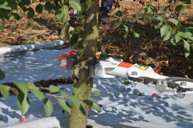 Vibreur d'arbre fruitier Jagoda Pestka P20 - hydraulique - 22 cm de diamètre - Occasion_2