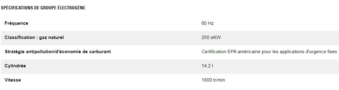Dg250 gc (triphasé) groupes électrogènes industriel à gaz - caterpillar -  classification gaz naturel 250 kw_2