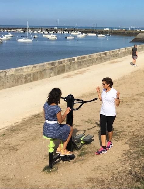 Twister Assis Debout - Gamme Fitness_2