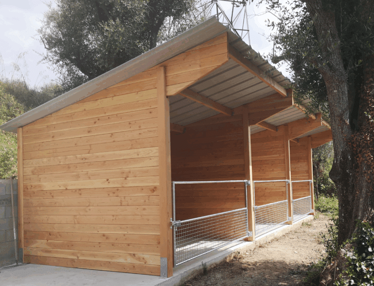 Abri de stabulation - ABR007 - Confort et robustesse pour vos chevaux_2