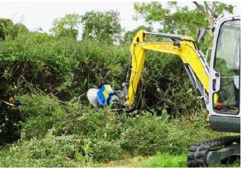 Disques d'élagage conçus pour couper branches, haies et buissons avec précisions jusque 360°_2