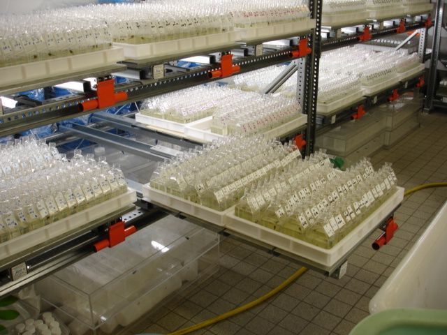 Tiroir à palette avec verrouillage automatique