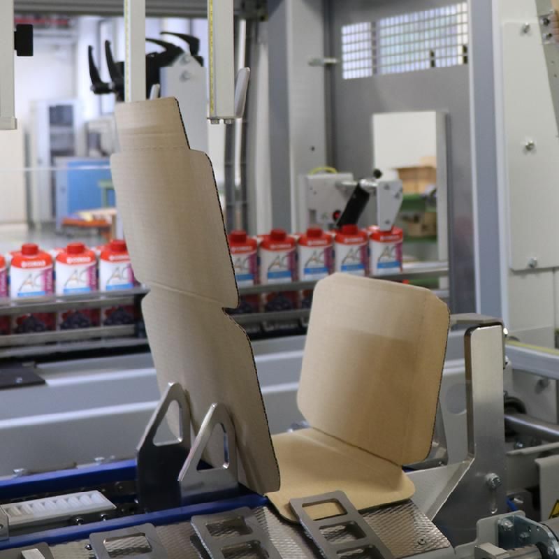 Wps 280r - encartonneuse wrap-around automatique avec entrée en ligne_2