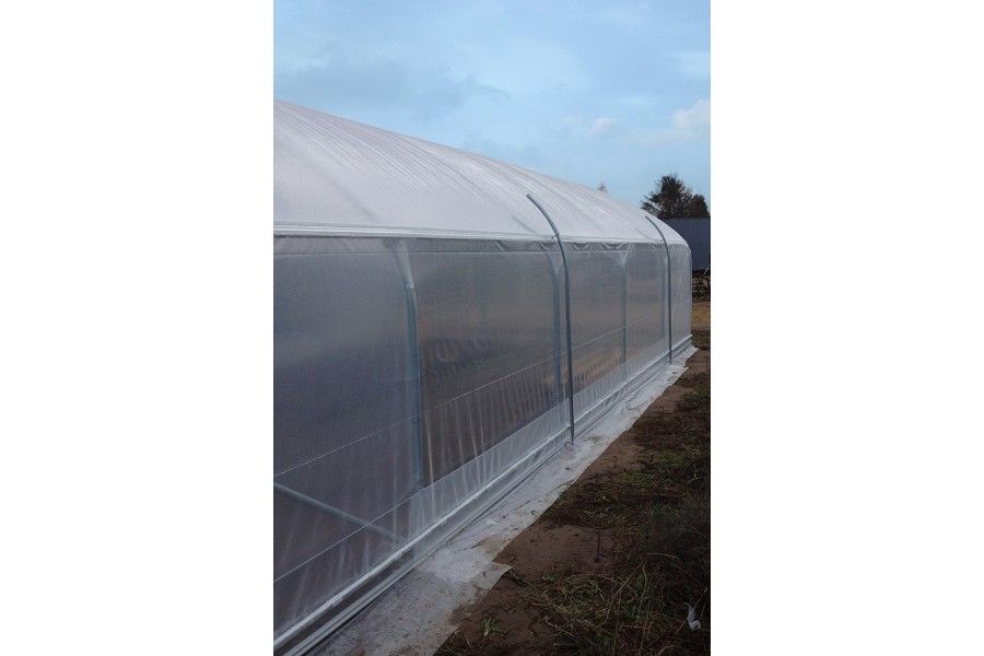 Serre tunnel Pro 6 m idéale pour un rendement horticole élevé