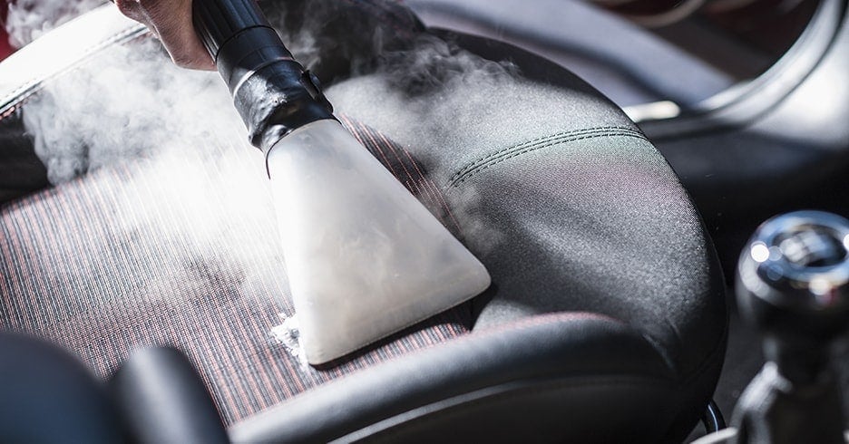 Générateur de vapeur professionnel emilio plus car_2