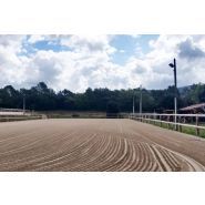 Clôture de carrière - Horse Stop - Conforme, 2 lices, 1m20 - Pin sylvestre traité classe IV - Ref. C4180-2_2