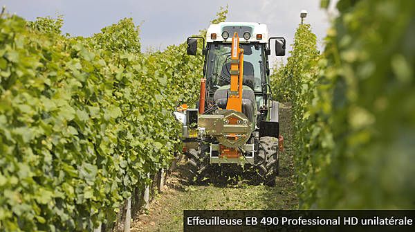 Turbine et rouleaux pour détachement des feuilles de vigne