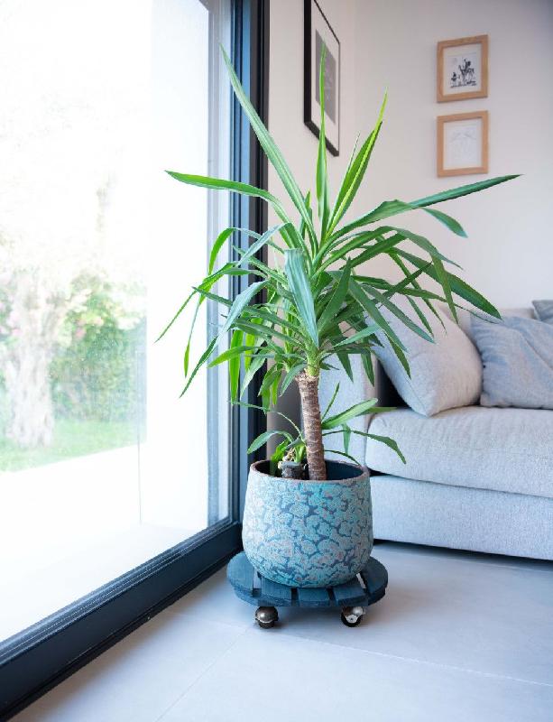 Roule-plante en bois rond anthracite - Basics - diamètre 37,5 cm_2