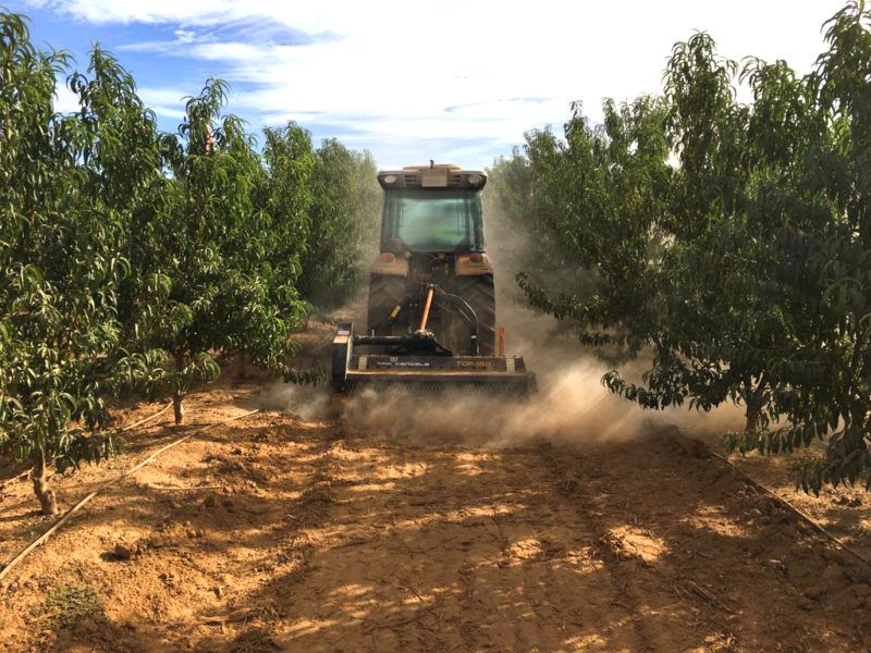 Tgh broyeur forestier - tmc cancela - largeur de travail (cm) 160-220_2