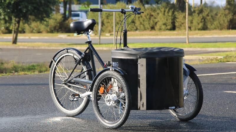 Triporteur Nihola Low Single (musculaire) - maniable et compact avec malle cylindrique_2