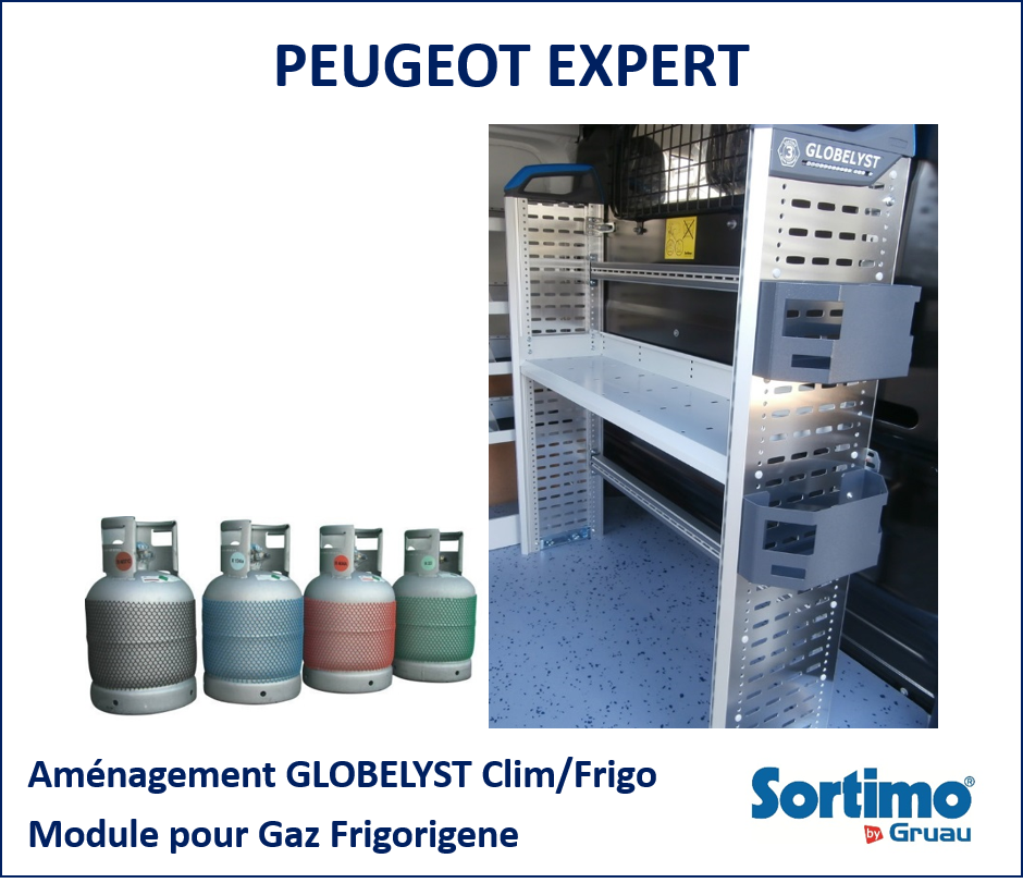 Mallettes de rangement pour véhicule utilitaire