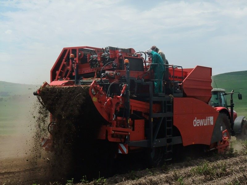 Arracheuse par tamissage r2060 - dewulf bv - capacité du trémie 7 t_2