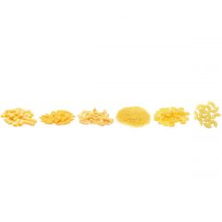 Unité de production de pâtes courtes à extrusion sous vide - RÉF. BAM02-ET_2