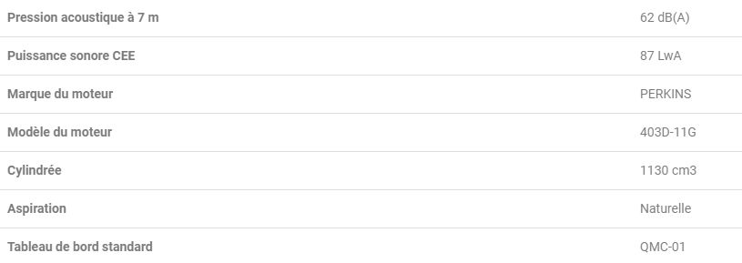 Groupe électrogène industriel Openstar 9 TPK - Worms Entreprises - Diesel - 7 kW / 9 kVA_2