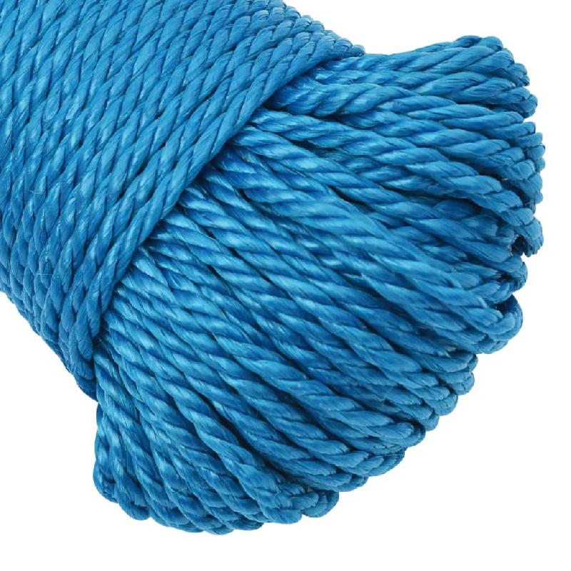 Vidaxl corde de travail bleu 3 mm 250 m polypropylène 152960_2