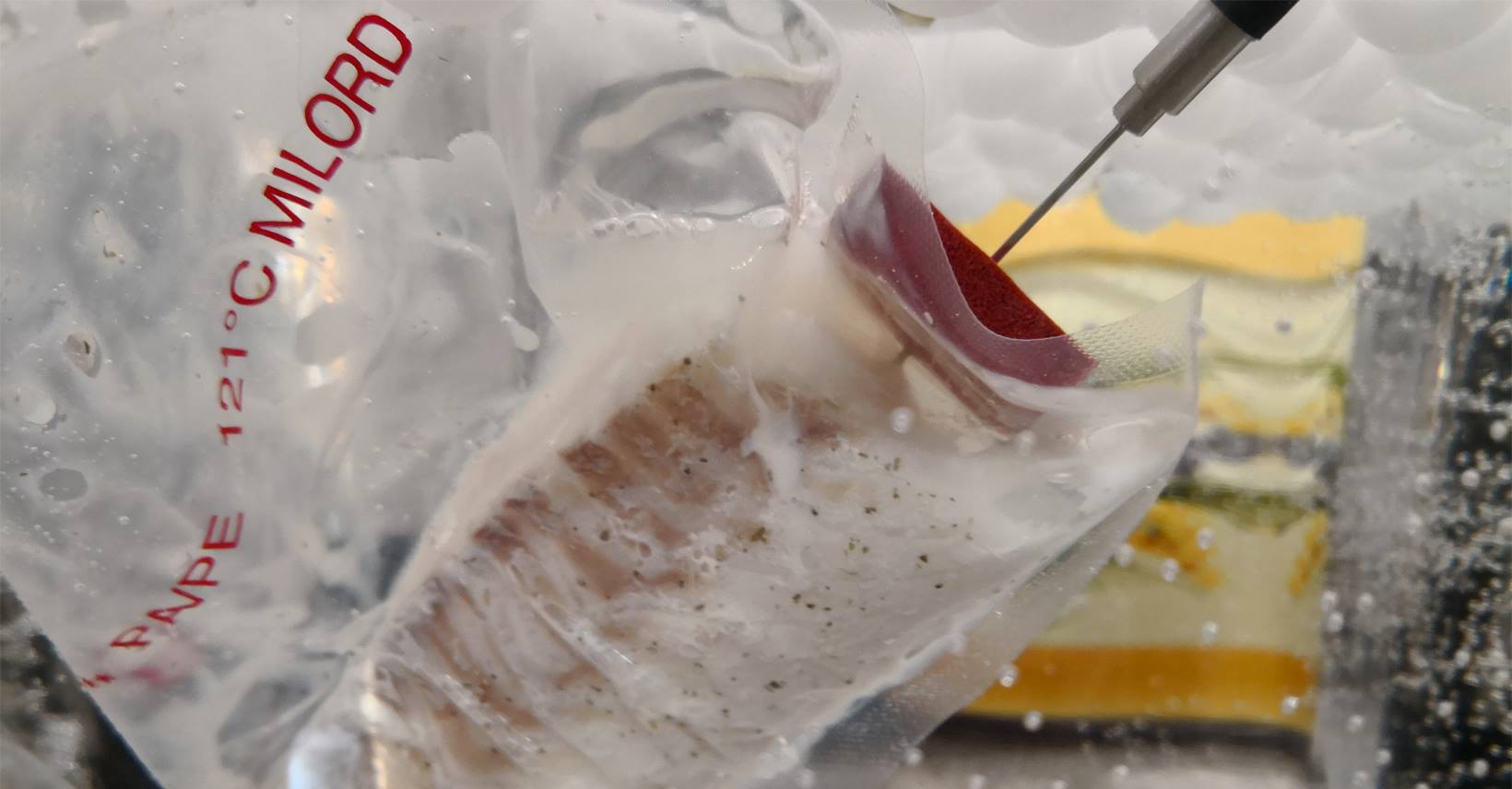 Thermoplongeur tête seule - cuisson sous vide basse température - précis et portable_2