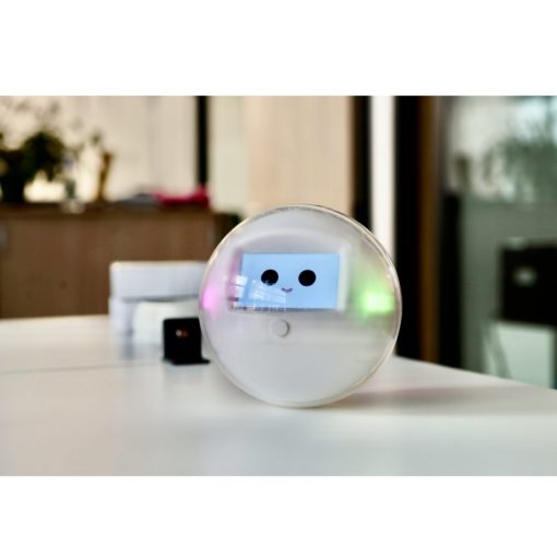 ROBOT LEKA APF FRANCE HANDICAP OUTIL LUDO-ÉDUCATIF COMPAGNON ENFANT AUTISME ASSISTANCE À LA PERSONNE_2