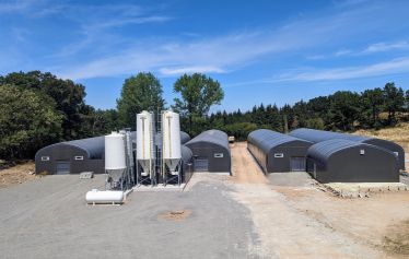 Tunnel d'élevage en pieds droits de 8.70m de large sur caillebotis_2