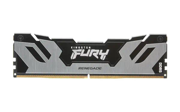 48 Go 8000 MT/s DDR5 CL38 DIMM (Kit de 2) FURY Renegade Silver_2