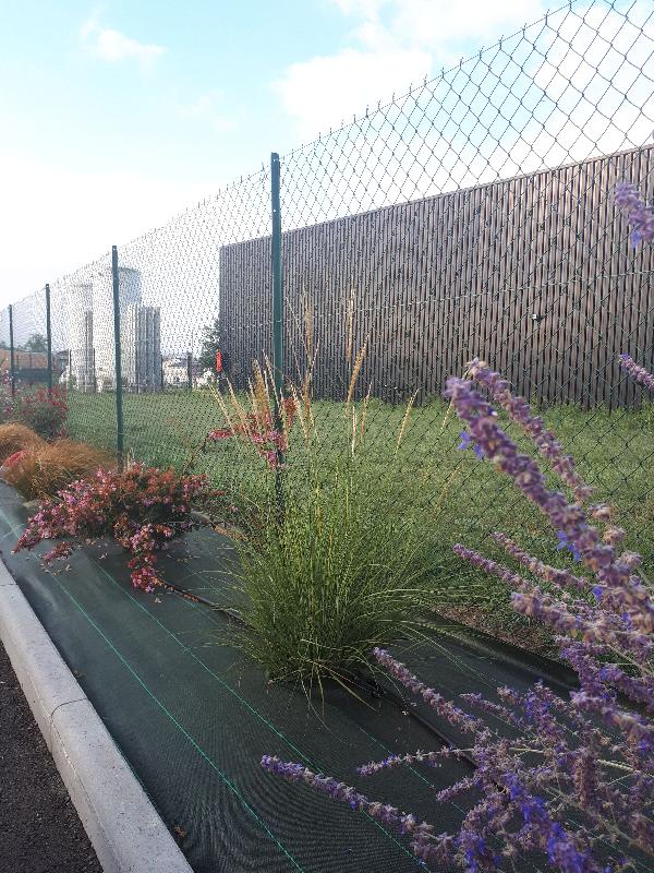 Toile de paillage étroite verte - 50cm, 7 kg_2