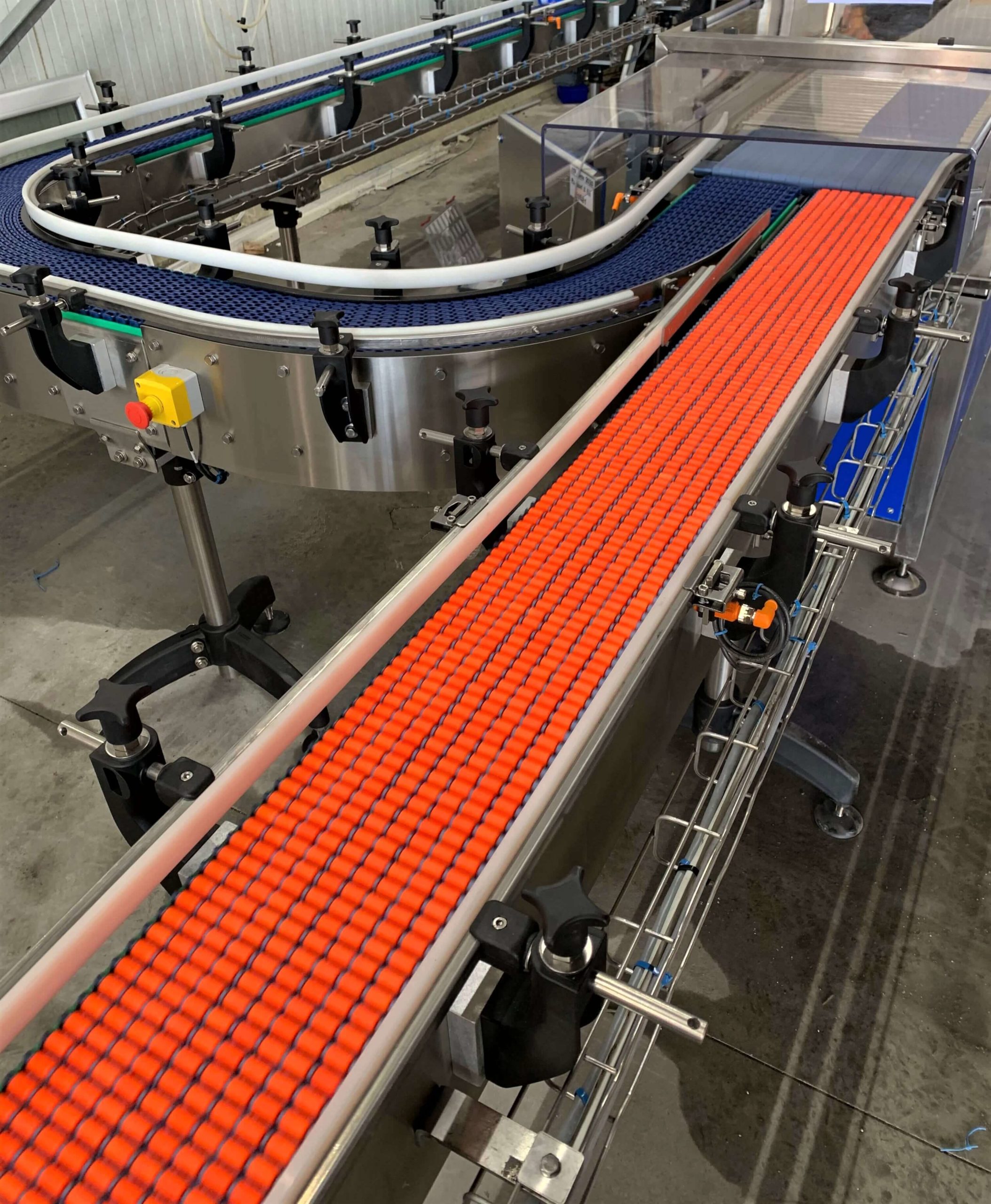 Accumulateur à galet libre pour produits à fond plat_2