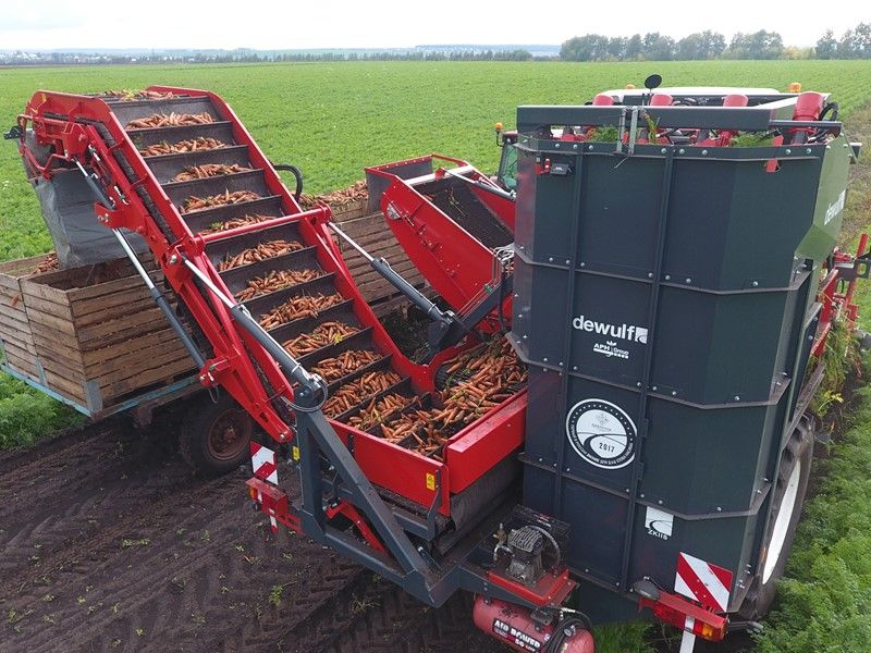 Arracheuse par préhension ZKIISE - Dewulf BV - 3 à 4 ha/j - Largeur 3290 mm - Automotrice, 2 rangs, tapis à tétines_2