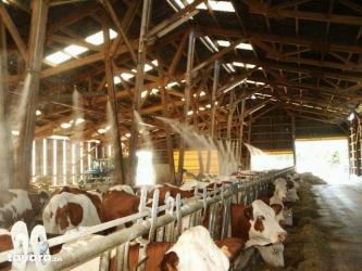 Armoire de brumisation professionnelle - Etanche ventilée en acier laqué - Débit 0,2 à 13 l/min - Garantie 3 ans - Agriest élevage_2