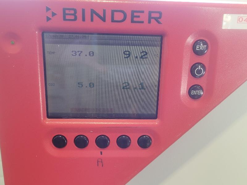 Incubateur / étuve à Co2 BINDER CB210_2