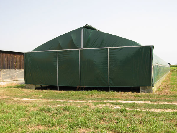 Tente de stockage fermé - structure fixe avec porte - homologuée 105kg/m2 - tunnel séchage tabac_2