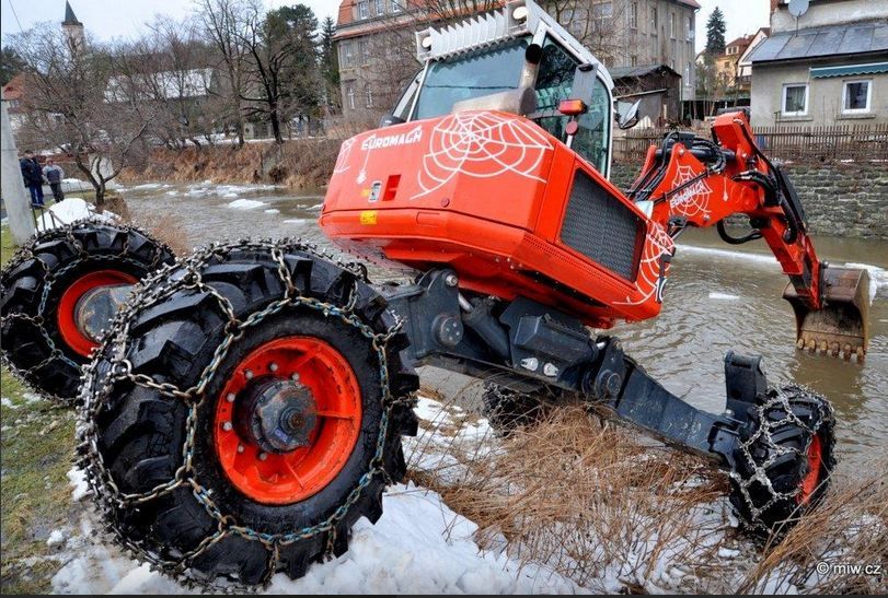 R105 big foot-forester pelle araignée très compacte_2