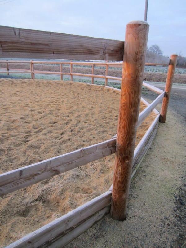 Rond de longe en bois Douglas - poteaux traités classe IV - Diamètres disponibles : 16m, 18m, 20m_2