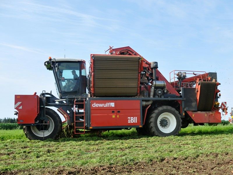 Arracheuse par préhension ZBII - Dewulf BV - trémie 9 m³ - largeur 3500 mm - 2 rangs_2