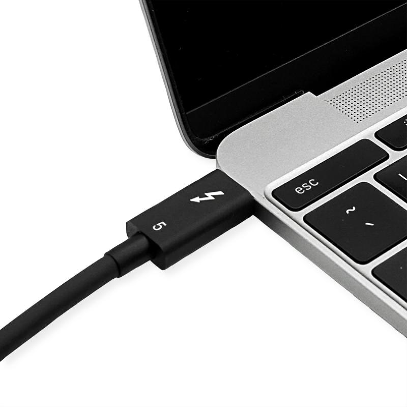 ROLINE Câble Thunderbolt™ 5 USB type C, M/M, 8K UHD-2, 80Gbit/s, 240W, passif, noir, 0,8 m_2