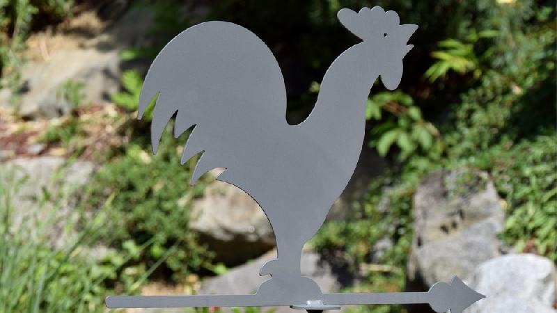 Girouette coq anthracite - 45x74cm - acier époxy_2
