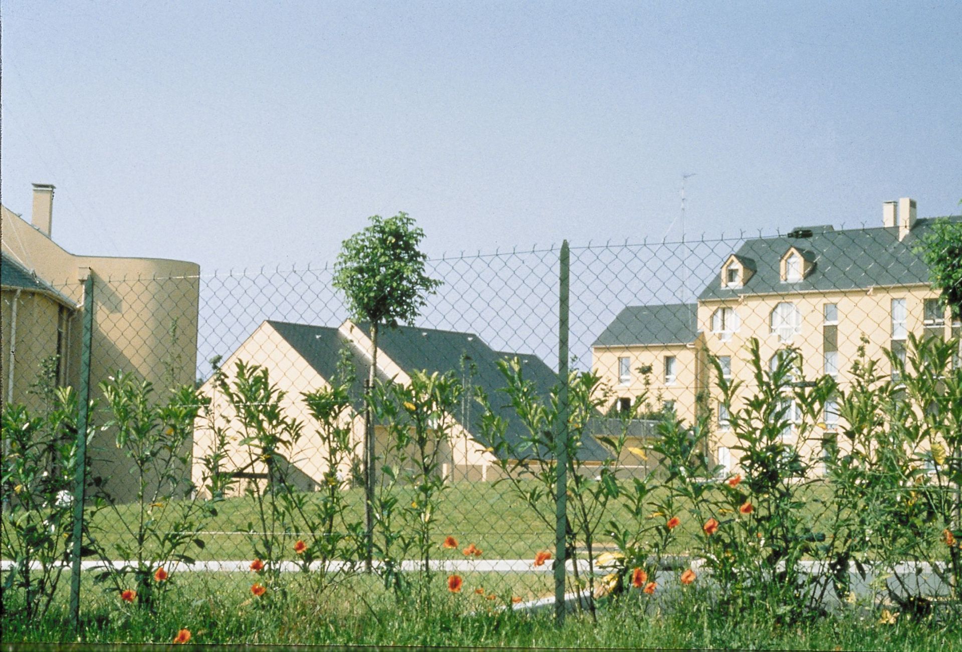 Clôture en rouleaux Simple Torsion_3