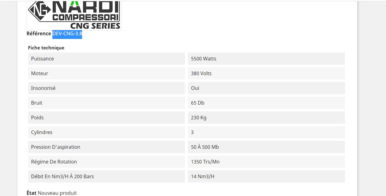 Dev-CNG-3.8 - Compresseur de gaz naturel Nardi Compressori France - Débit de 14 Nm3_2