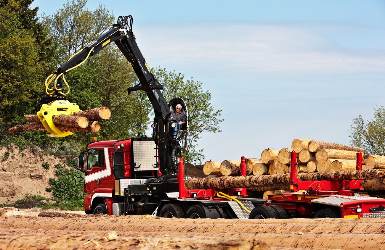 Grue forestière robuste et légère pour augmenter la charge utile
