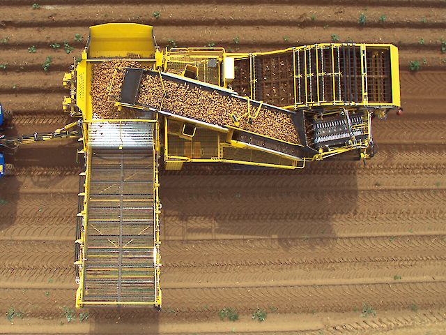 Arracheuse de pommes de terre ROPA Keiler 2L - trémie 5,5 t - entraînement hydraulique_2