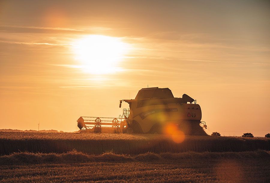Cx8.90 moissonneuse batteuse - new holland - trémie (l) 12 500_2