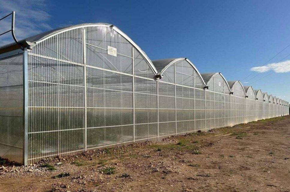 Serre à travées multiples  utilisée dans toutes les zones climatiques - Multiart_2