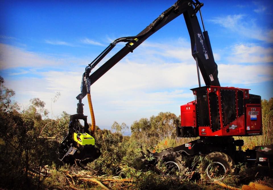 AFM 60 EUCA - Tête d'abattage pour eucalyptus - largeur max. 1330 mm - AFM Forest_2