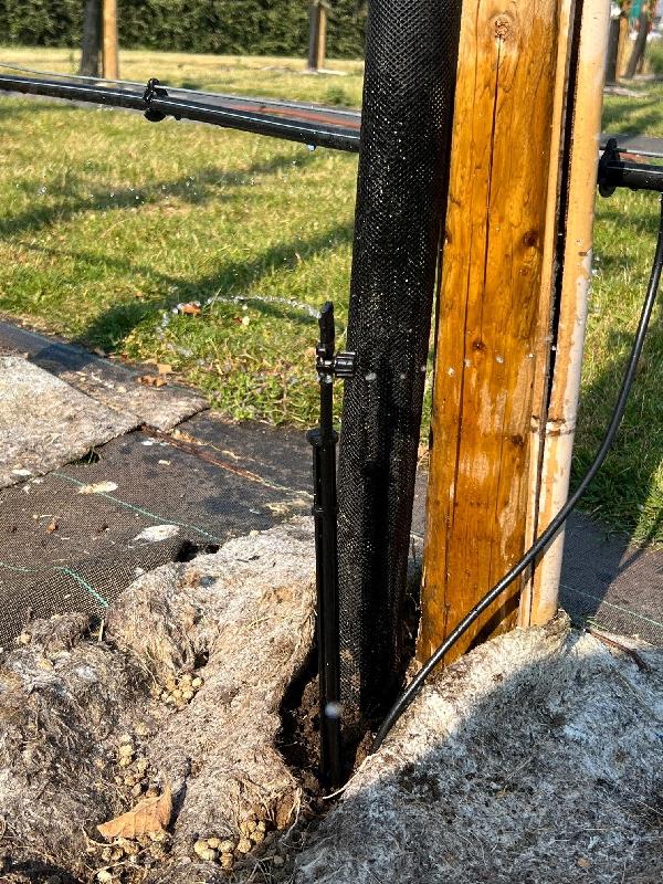 Dispositif d'arrosage avec tuyau de 60 cm et portée réglable