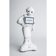 Robot humanoïde - softbank robotics - dialogue disponibles dans 15 langues_2