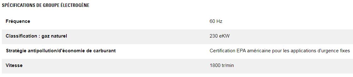 Dg230 gc (triphasé) groupes électrogènes industriel à gaz - caterpillar -  classification gaz naturel 230 kw_2