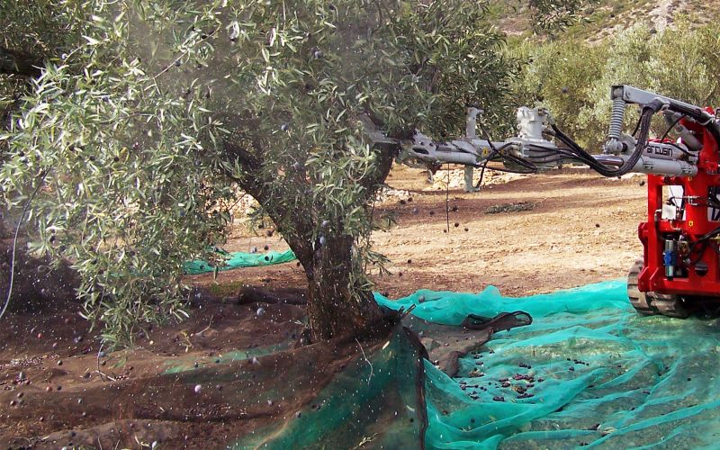 Pick mt - vibreur d'arbre fruitier - arcusin - adaptabilité facile_2