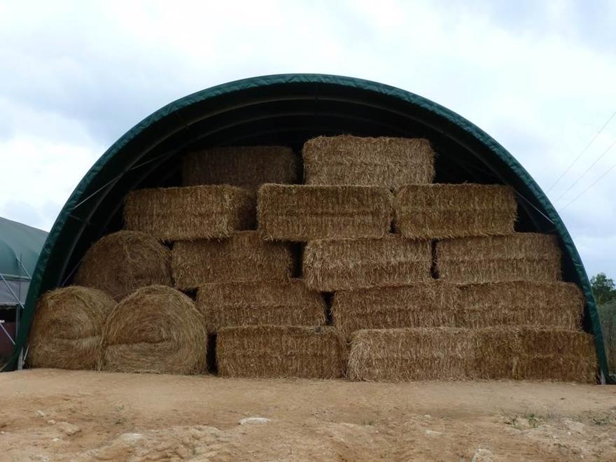 Tunnel de stockage 12 m / ouvert / structure en acier / couverture en pvc / avec fondation_2