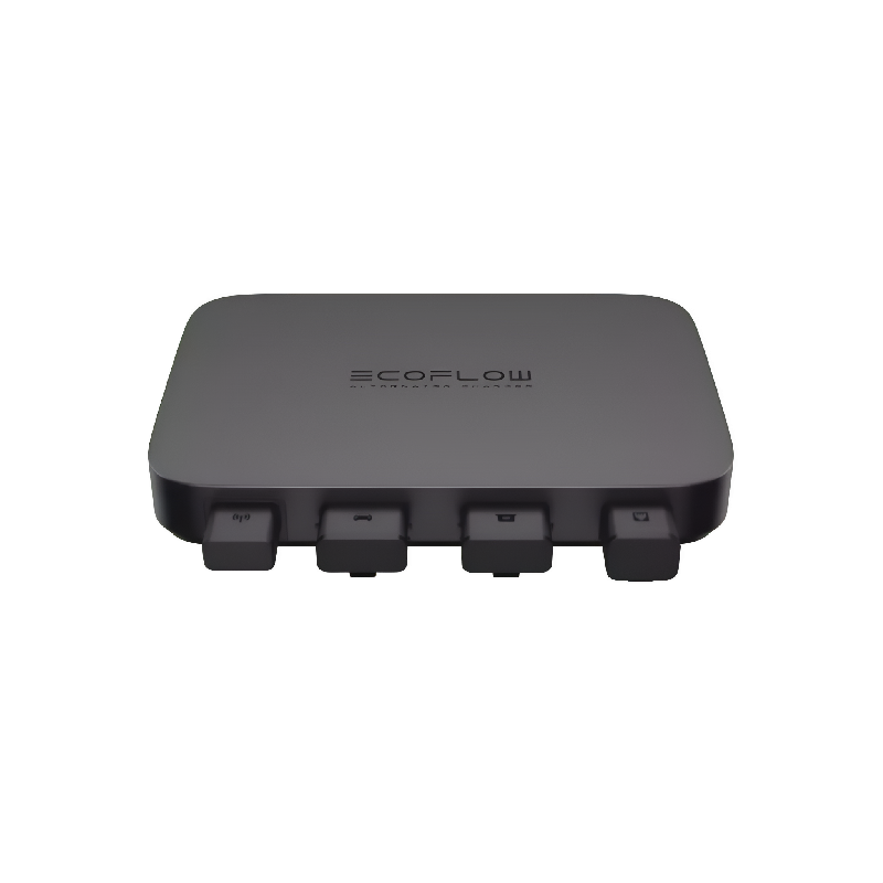 Chargeur d'alternateur EcoFlow 800 W_2