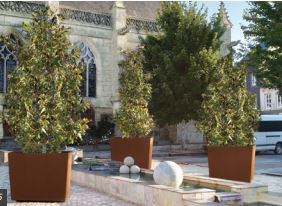 Bac à palmier OLBIA - Design épuré pour univers classiques et contemporains - Châssis et habillage en acier galvanisé_2