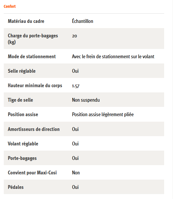 Vélo cargo électrique stable et polyvalent BIG-E BABBOE_2